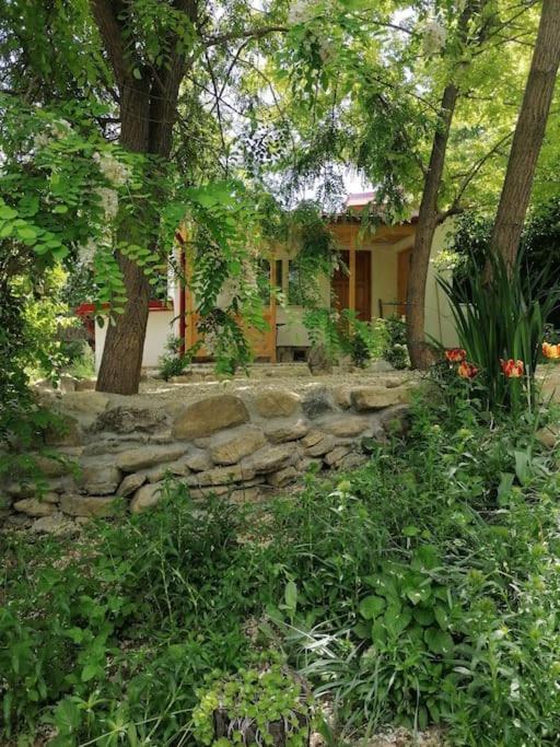 Casa De Oaspeti Adorabila Aproape De Natura Sărata-Monteoru Zewnętrze zdjęcie